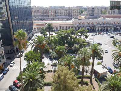 Stiamo parlando della pi� alta palma di piazza Aldo Moro, piantata di fronte alla Stazione centrale di Bari nel lontano 1964